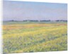The Plain of Gennevilliers, Yellow Fields by Gustave Caillebotte