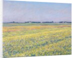 The Plain of Gennevilliers, Yellow Fields by Gustave Caillebotte