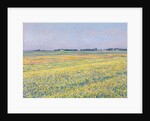 The Plain of Gennevilliers, Yellow Fields by Gustave Caillebotte