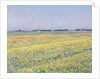 The Plain of Gennevilliers, Yellow Fields by Gustave Caillebotte