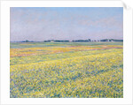 The Plain of Gennevilliers, Yellow Fields by Gustave Caillebotte