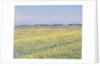 The Plain of Gennevilliers, Yellow Fields by Gustave Caillebotte