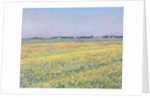 The Plain of Gennevilliers, Yellow Fields by Gustave Caillebotte