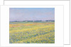 The Plain of Gennevilliers, Yellow Fields by Gustave Caillebotte