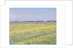 The Plain of Gennevilliers, Yellow Fields by Gustave Caillebotte