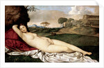 Sleeping Venus by Giorgione