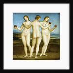 The Three Graces by Raphael