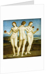 The Three Graces by Raphael
