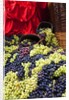 Fresh Grapes at Harvest Festival by Anonymous