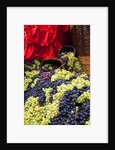 Fresh Grapes at Harvest Festival by Anonymous