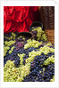 Fresh Grapes at Harvest Festival by Anonymous
