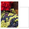 Fresh Grapes at Harvest Festival by Anonymous