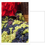 Fresh Grapes at Harvest Festival by Anonymous