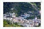 Vista from Hillside Town of Ravello of the Town of Minori below by Anonymous