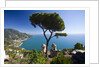 Vista from Hillside Town of Ravello by Anonymous