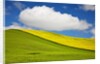 Rolling Hills of Canola and Pea Fields With Fresh Spring Color by Anonymous