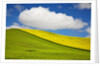 Rolling Hills of Canola and Pea Fields With Fresh Spring Color by Anonymous