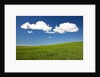 Rolling Hills of Wheat by Anonymous