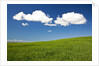 Rolling Hills of Wheat by Anonymous