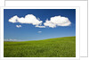 Rolling Hills of Wheat by Anonymous