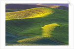 Rolling Hills of Peas by Anonymous