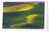 Rolling Hills of Peas by Anonymous