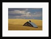 Old Barn in a Field of Harvest Wheat by Anonymous