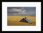 Old Barn in a Field of Harvest Wheat by Anonymous
