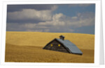 Old Barn in a Field of Harvest Wheat by Anonymous