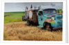 Old Field Fuel Truck With Multi Color paint by Anonymous