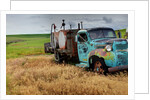 Old Field Fuel Truck With Multi Color paint by Anonymous