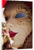 Women's Carnival Mask With Gold Trim by Anonymous
