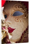 Women's Carnival Mask With Gold Trim by Anonymous