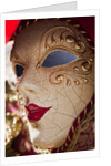 Women's Carnival Mask With Gold Trim by Anonymous