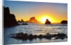 Sunset along Arch Rock, Ecola State Park, Oregon Coast, Pacific Northwest, United States by Anonymous
