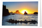 Sunset along Arch Rock, Ecola State Park, Oregon Coast, Pacific Northwest, United States by Anonymous