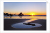 Sunset along Arch Rock, Ecola State Park, Oregon Coast, Pacific Northwest, United States by Anonymous