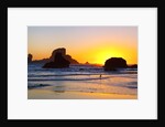 Sunset along Arch Rock, Ecola State Park, Oregon Coast, Pacific Northwest, United States by Anonymous