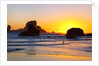 Sunset along Arch Rock, Ecola State Park, Oregon Coast, Pacific Northwest, United States by Anonymous