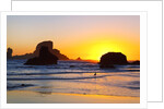 Sunset along Arch Rock, Ecola State Park, Oregon Coast, Pacific Northwest, United States by Anonymous