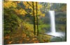 Fall colors add beauty to South South Silver Falls, Silver Falls State Park, Oregon by Anonymous