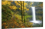 Fall colors add beauty to South South Silver Falls, Silver Falls State Park, Oregon by Anonymous