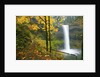 Fall colors add beauty to South South Silver Falls, Silver Falls State Park, Oregon by Anonymous