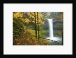 Fall colors add beauty to South South Silver Falls, Silver Falls State Park, Oregon by Anonymous