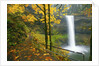 Fall colors add beauty to South South Silver Falls, Silver Falls State Park, Oregon by Anonymous