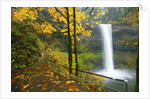Fall colors add beauty to South South Silver Falls, Silver Falls State Park, Oregon by Anonymous