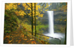 Fall colors add beauty to South South Silver Falls, Silver Falls State Park, Oregon by Anonymous
