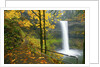 Fall colors add beauty to South South Silver Falls, Silver Falls State Park, Oregon by Anonymous