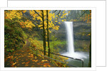 Fall colors add beauty to South South Silver Falls, Silver Falls State Park, Oregon by Anonymous