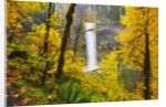 Fall colors add beauty to South South Silver Falls, Silver Falls State Park, Oregon by Anonymous